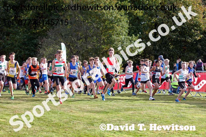 Boys under-13s, 2016 National Cross Country Relays, Berry Hill Park, Mansfield. Photo: David T. Hewitson/Sports for All Pics